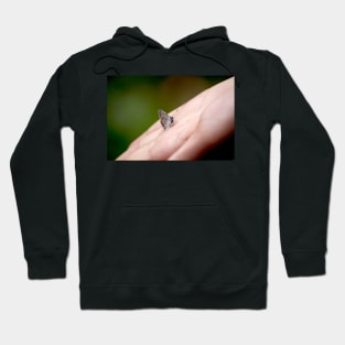 Tiny butterfly in my hand, nature photography Hoodie